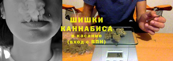 стаф Кулебаки