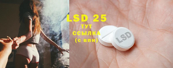 стаф Кулебаки