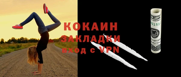 стаф Кулебаки