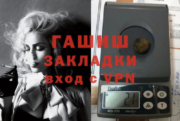 стаф Кулебаки