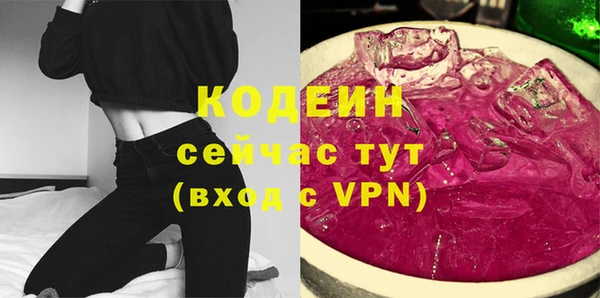 стаф Кулебаки