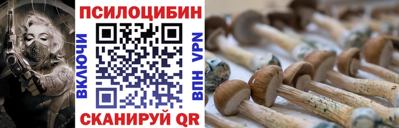 Псилоцибиновые грибы мицелий  Купить закладки  Харабали 