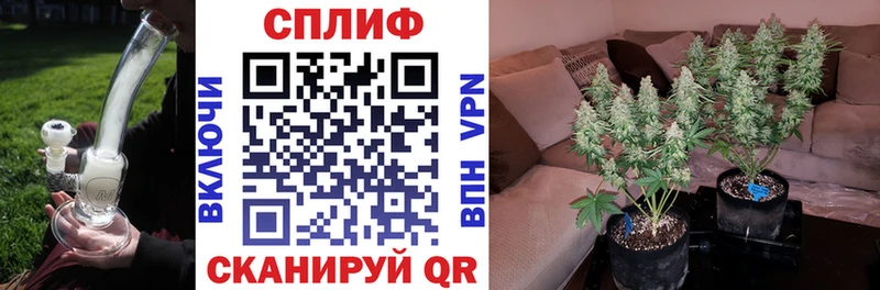 Купить  Харабали  Бошки Шишки планчик 